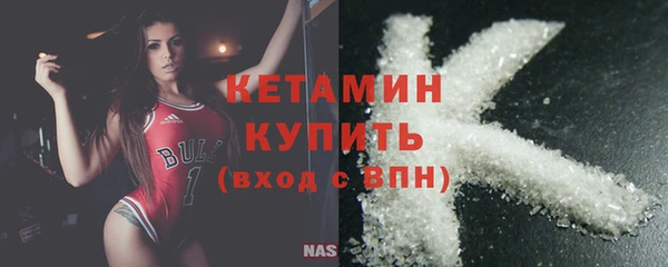 шишки Кодинск