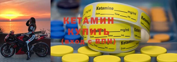 шишки Кодинск