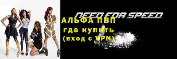 шишки Кодинск