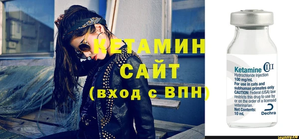 шишки Кодинск