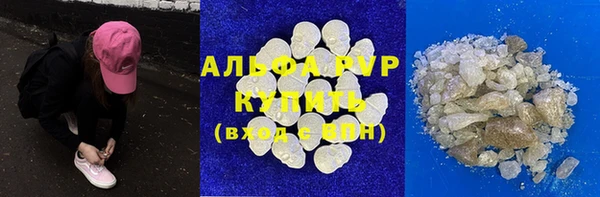 шишки Кодинск