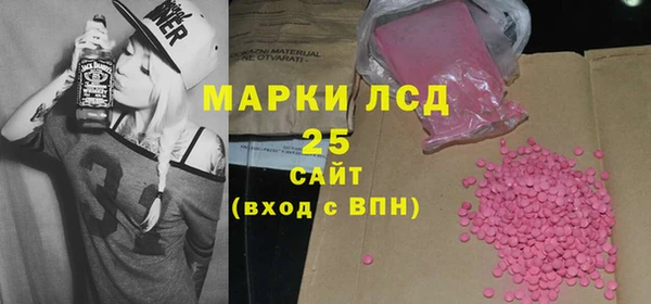 шишки Кодинск
